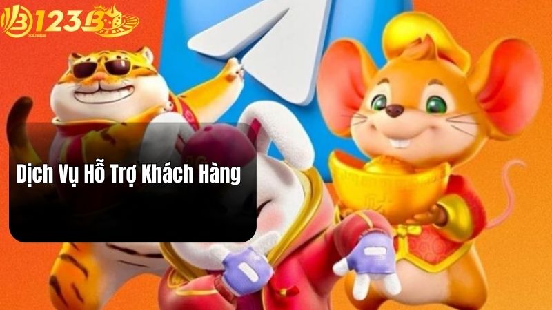Dịch Vụ Hỗ Trợ Khách Hàng
